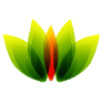 Workbloom.com logo