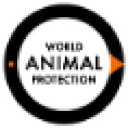 Worldanimalprotection.org.in logo