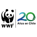 Wwf.cl logo