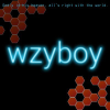 Wzyboy.im logo