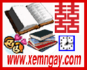 Xemngay.com logo