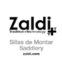 Zaldi.com logo