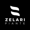 Zelari.it logo