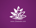 Zibakade.com logo