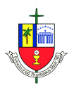 Saint Vincent de Paul Regional Seminary Logo