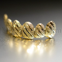 14kgoldteeth.com