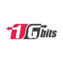 Read 1Gbits Reviews