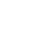 25r-digital.com