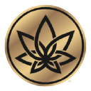 3Chi