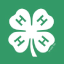 4-H logo