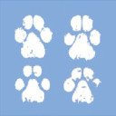 4pawsboutiquespa