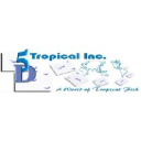 5D Tropical Inc