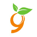 9seeds.com logo