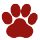 All Paws Animal Hospital logo