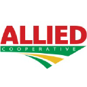 Allied Cooperative logo