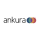 Ankura Consulting logo