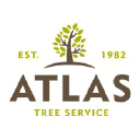 Atlas Tree logo