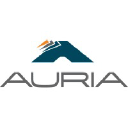 Auria Solutions logo