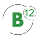 B12 Consulting logo