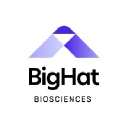 BigHat logo