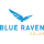 Blue Raven Solar logo
