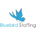 Bluebird Staffing logo