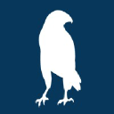 Bluehawk Consulting logo