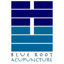 Blueroot Health logo