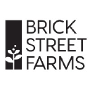 Brick Street Farms logo