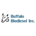 Buffalo Biodiesel