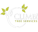 Climb Tree Services
