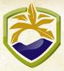 Del Sol Medical Center logo