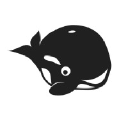HeyOrca logo