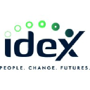 IDEX CONSULTING logo