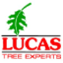 Lucas Tree logo