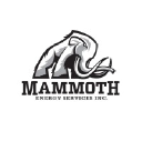 Mammoth Energy Services logo