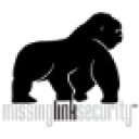 Missing Link Security logo