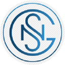 National Strategic Group logo