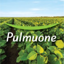 Pulmuone Foods USA logo