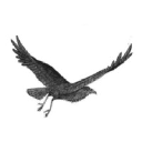 Raven Ridge logo
