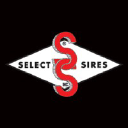Select Sires