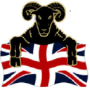 The Black Sheep logo