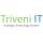 Triveni IT logo