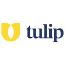 Tulip Cremation logo