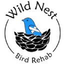 Wild Nest Bird Rehab logo