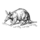 Aardvarkappliances
