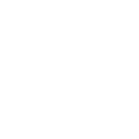 Aavocyte