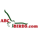 abcbirds.com