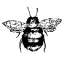 abejasboutique.com
