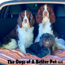 A Better Pet LLC